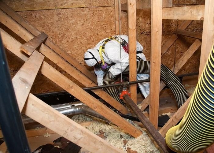 Attic Removal